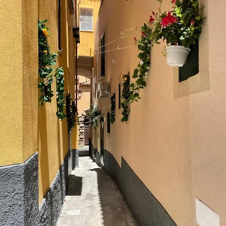 招待所 Palazzo Campisi 3*